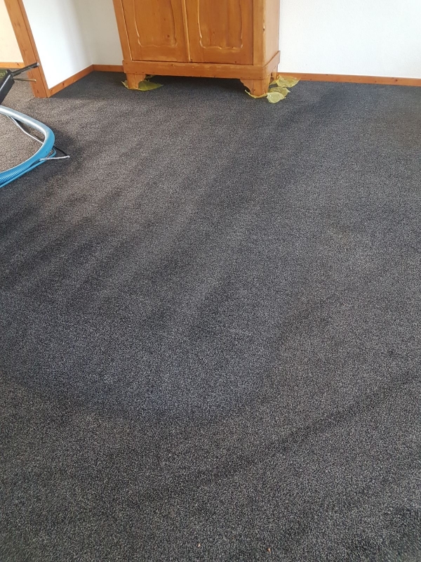 schoonmaakbedrijf zwolle tapijt-reinigen